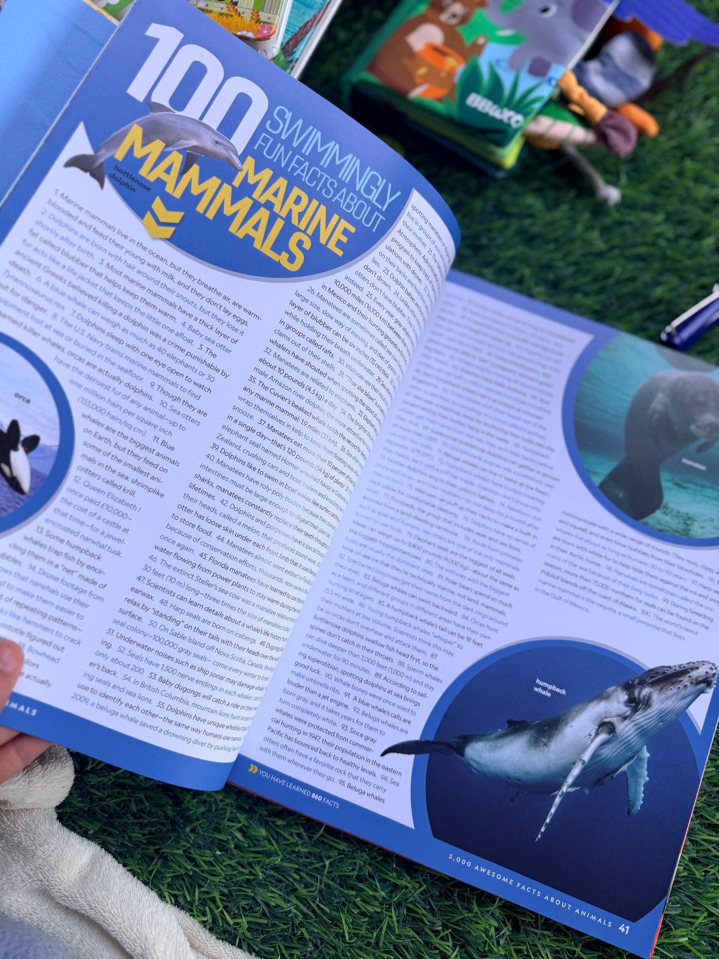 5,000 Awesome Facts About Animals | National Geographic Kids