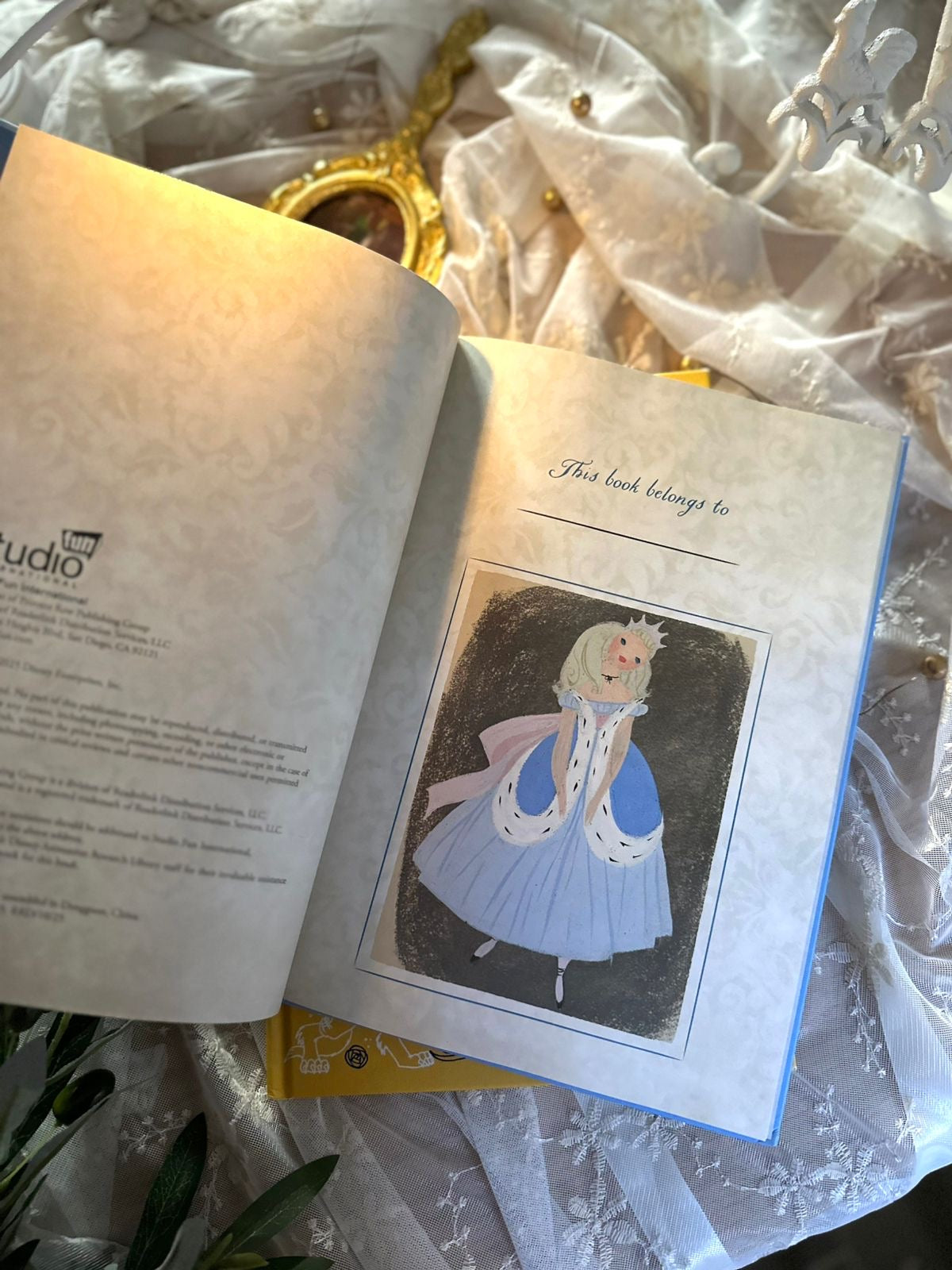 Dinsey Conderella Book, Illustrated Hardcover