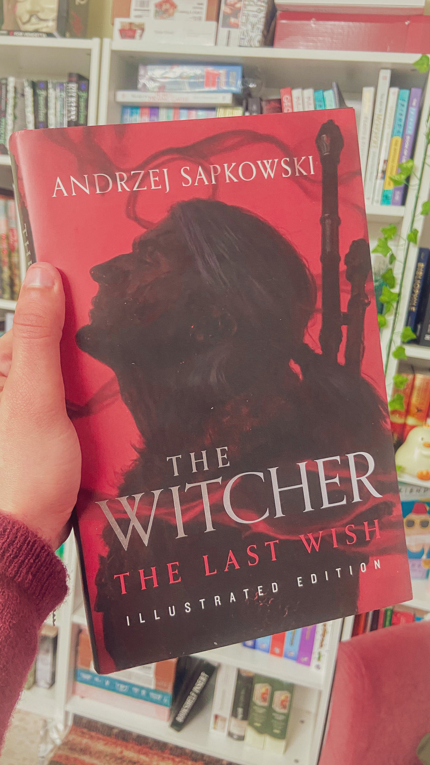 The Last Wish: Illustrated Edition (The Witcher, 1)