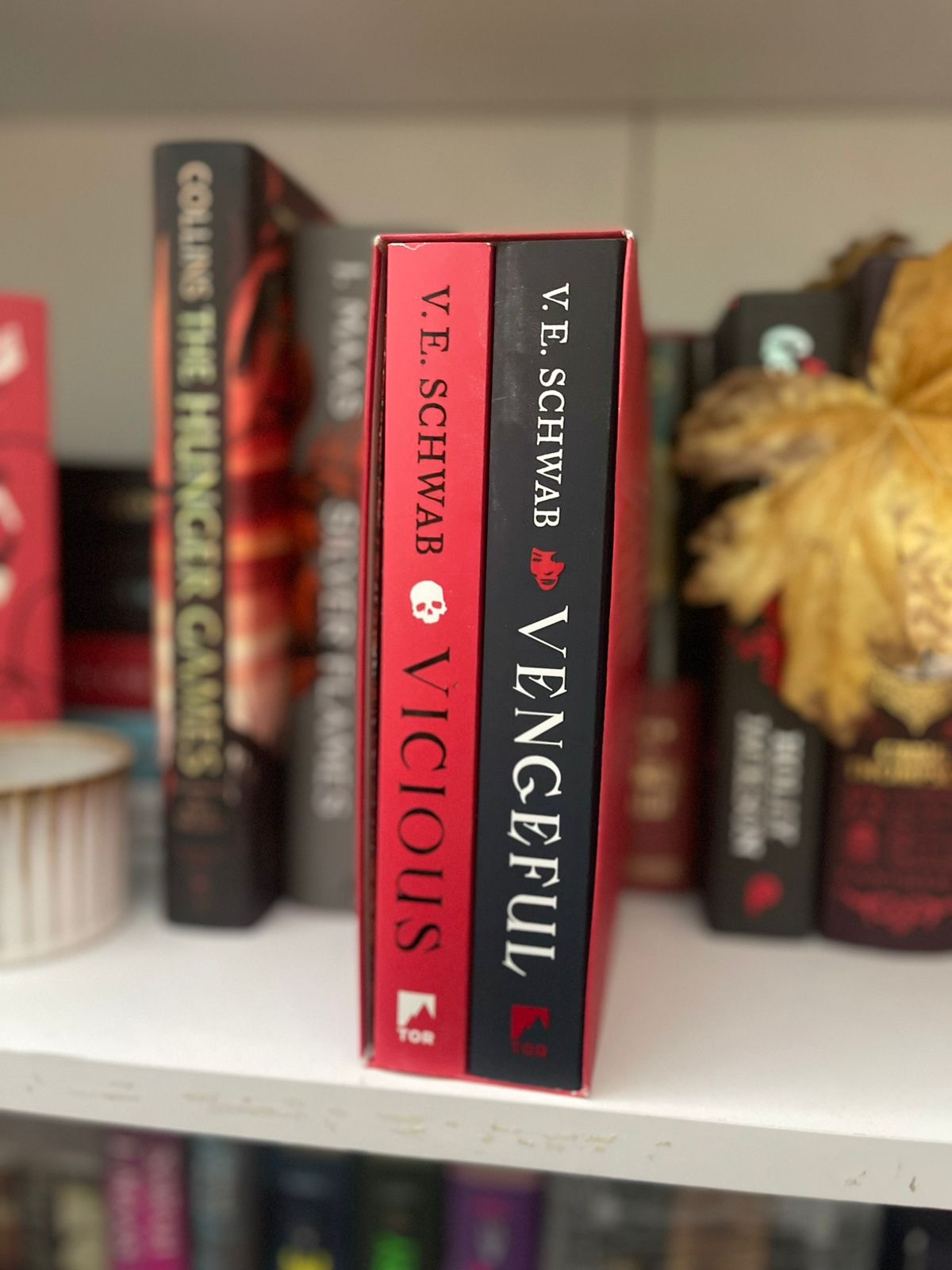 Villains Duology Boxed Set: Vicious, Vengeful