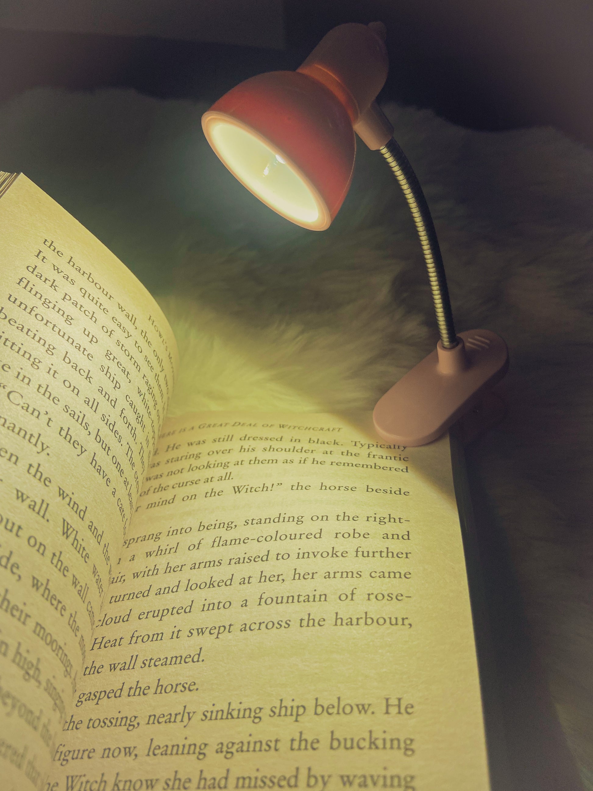 Reading light 💡 (warm)