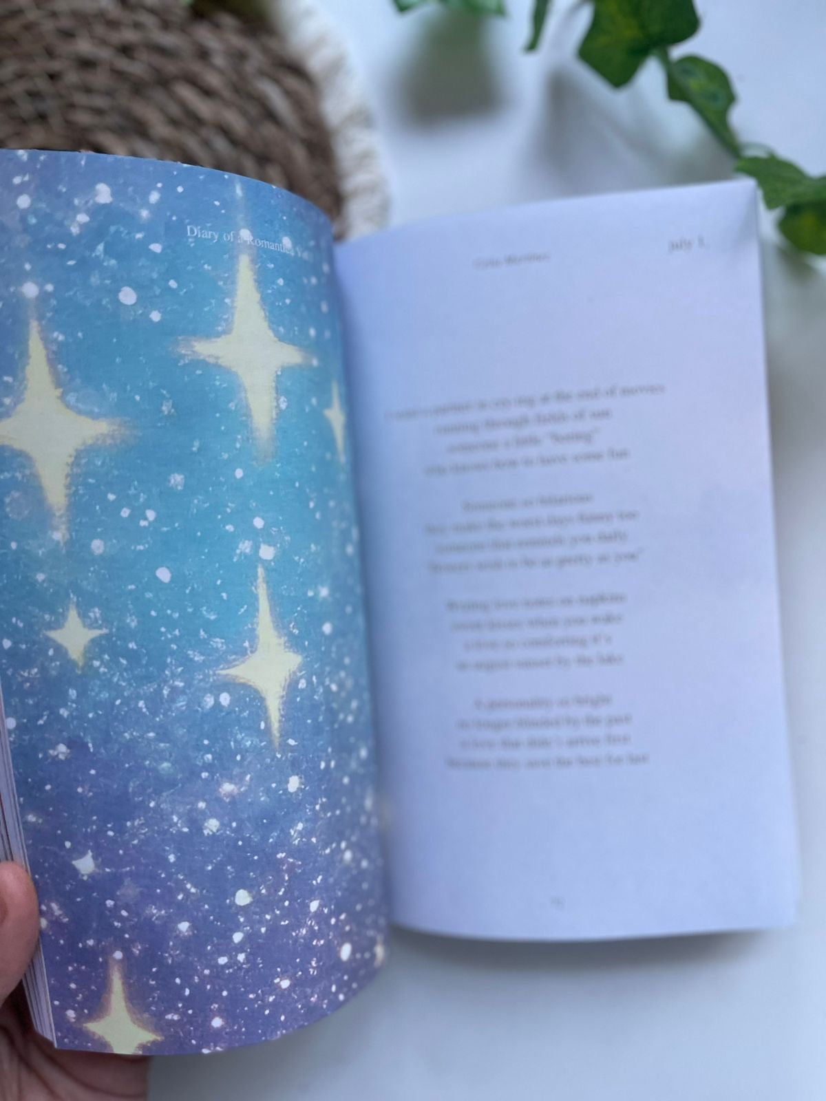 Diary of Romantica