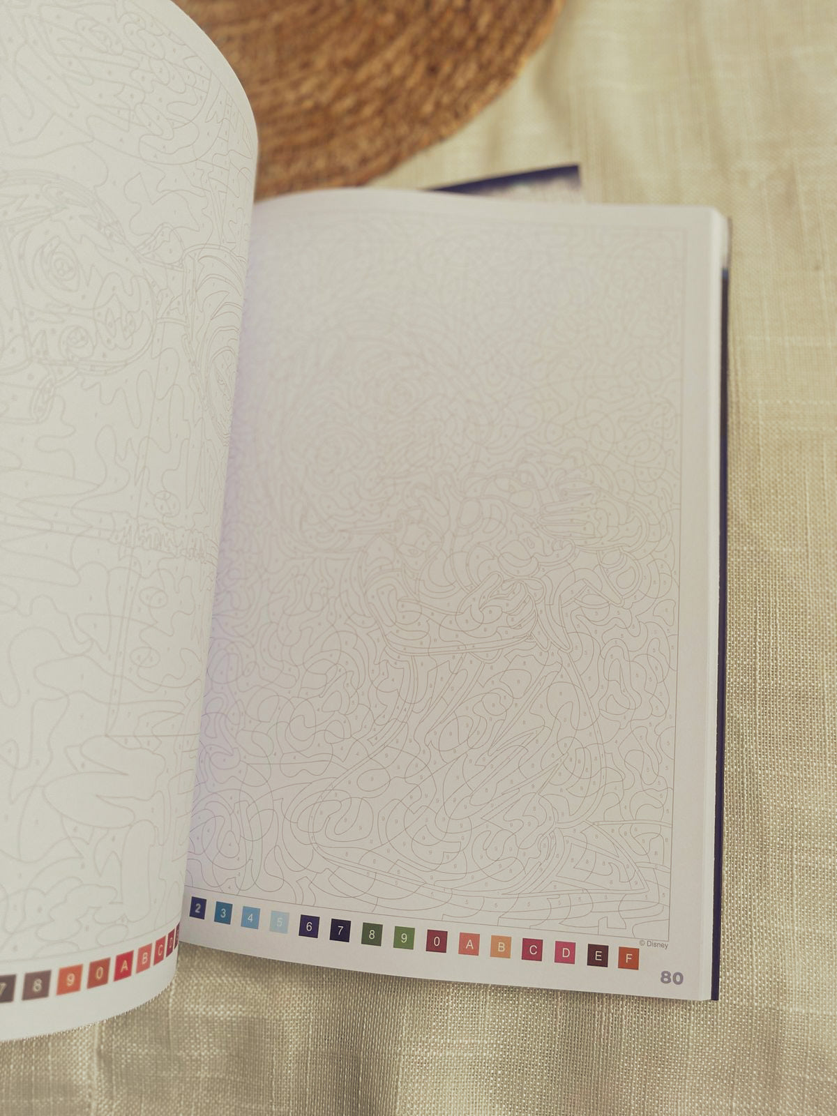 Disney Mystery Coloring Book