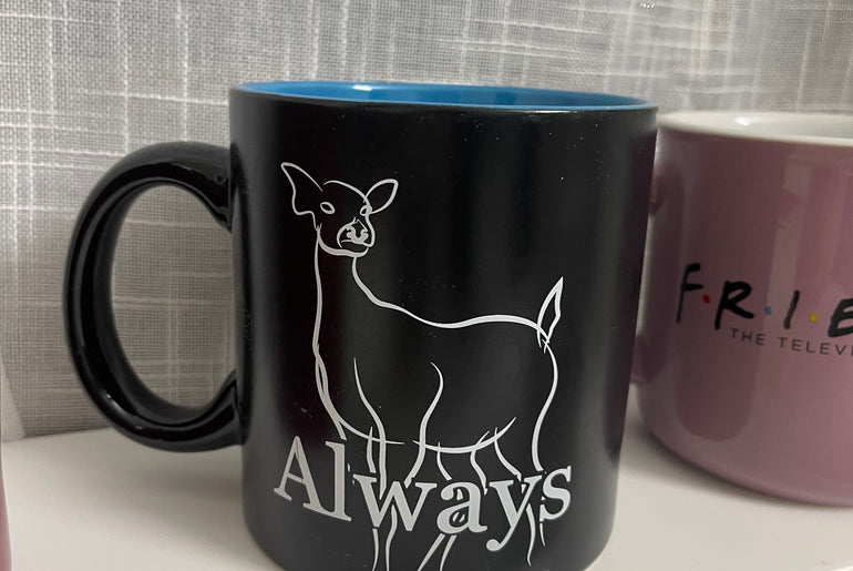 Always Changing Heat Mug