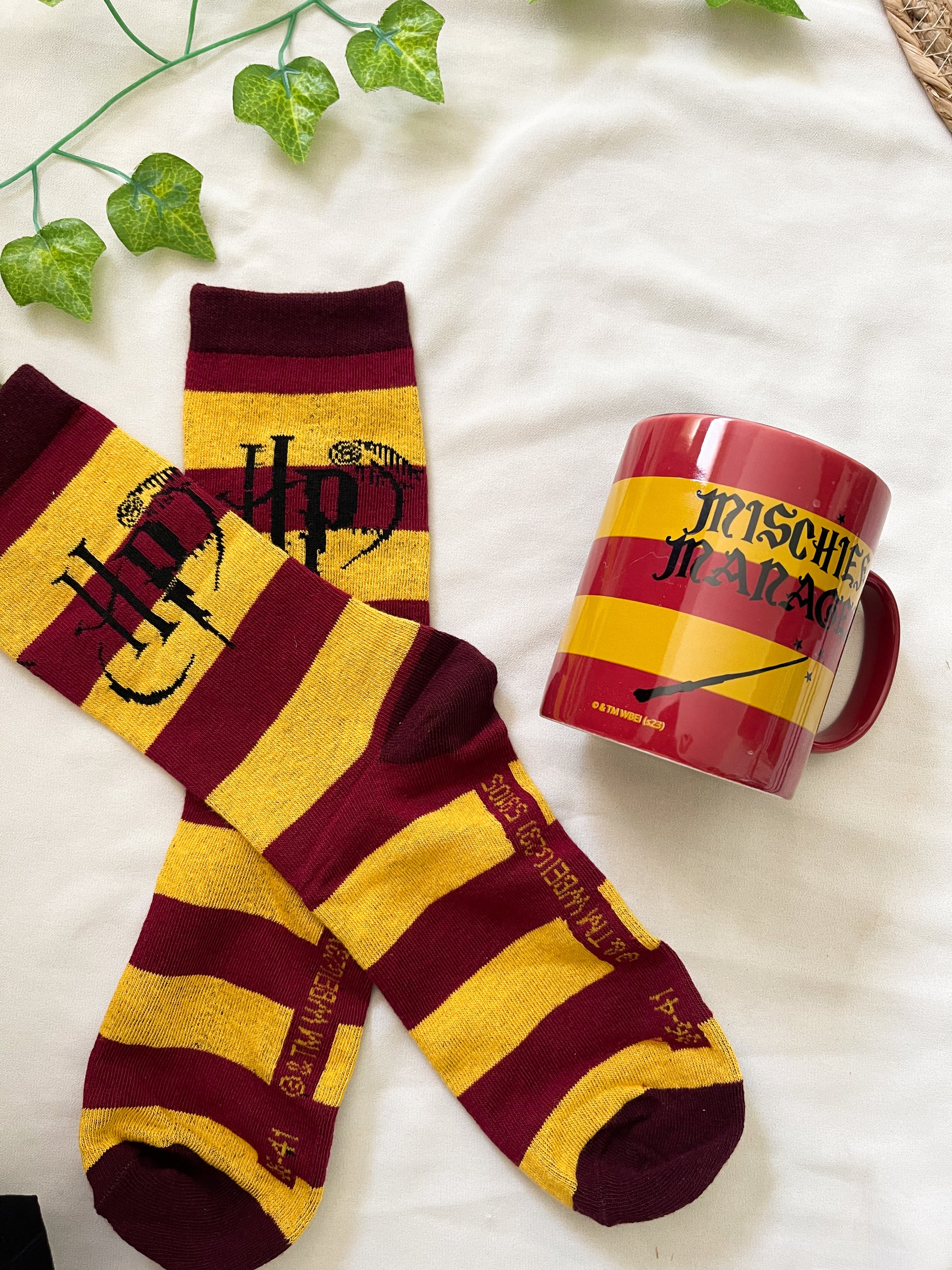 Harry Potter-Mug gift set