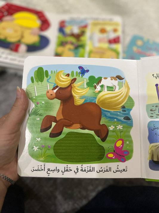 ما الذي تحبه الفرس | التعلم بحاسة اللمس