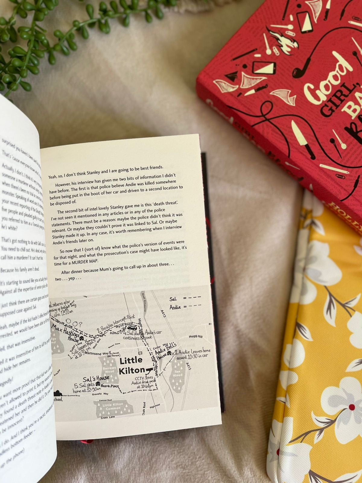 A Good Girl’s Guide to Murder series, Collected editions (2 Books)