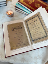 ديوان المتنبي - طبعة فخمة مزودة بالرسومات | دار صادر