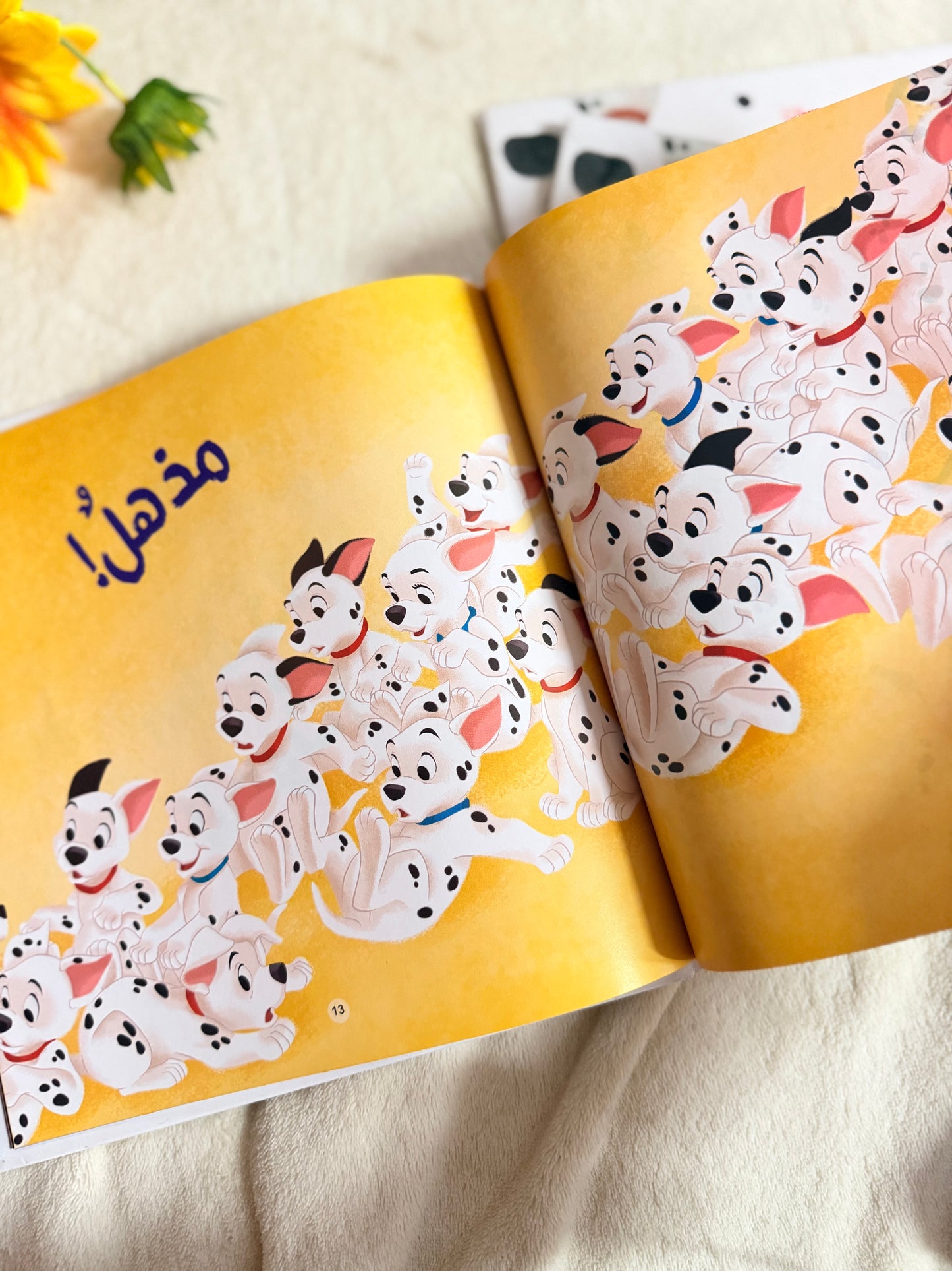 ديزني مائة مرقش ومرقش - اكتشف الفرق