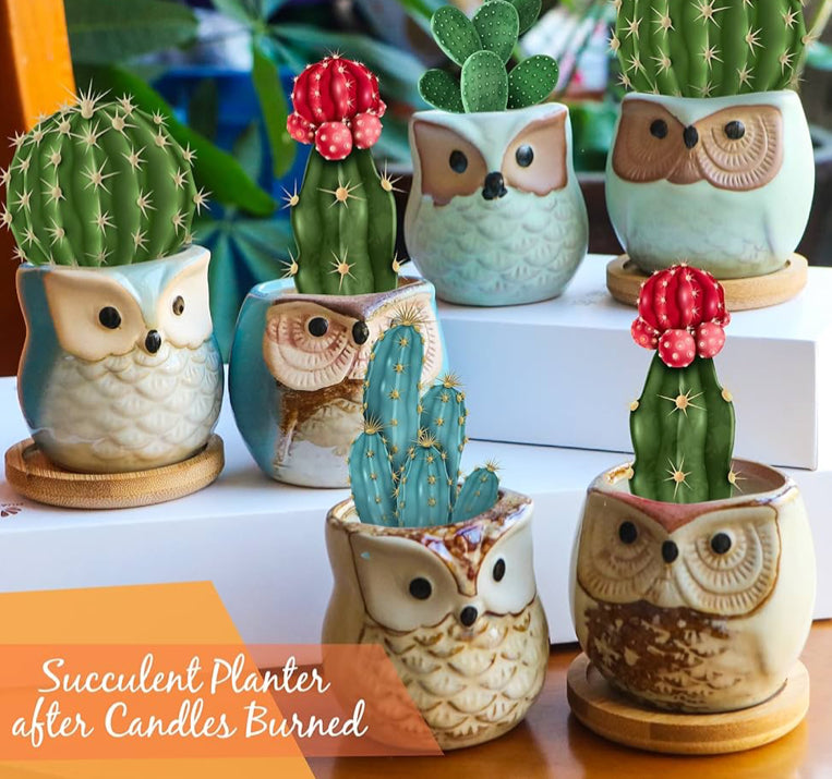Citronella Scented Candles for Relaxing