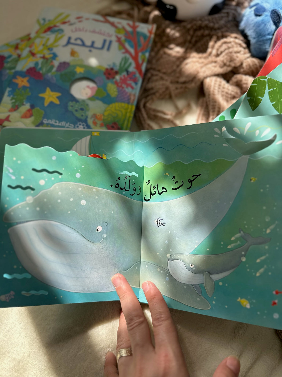 اكتشف داخل البحر ؛ كتاب تفاعلي مع طيّات مختلفة