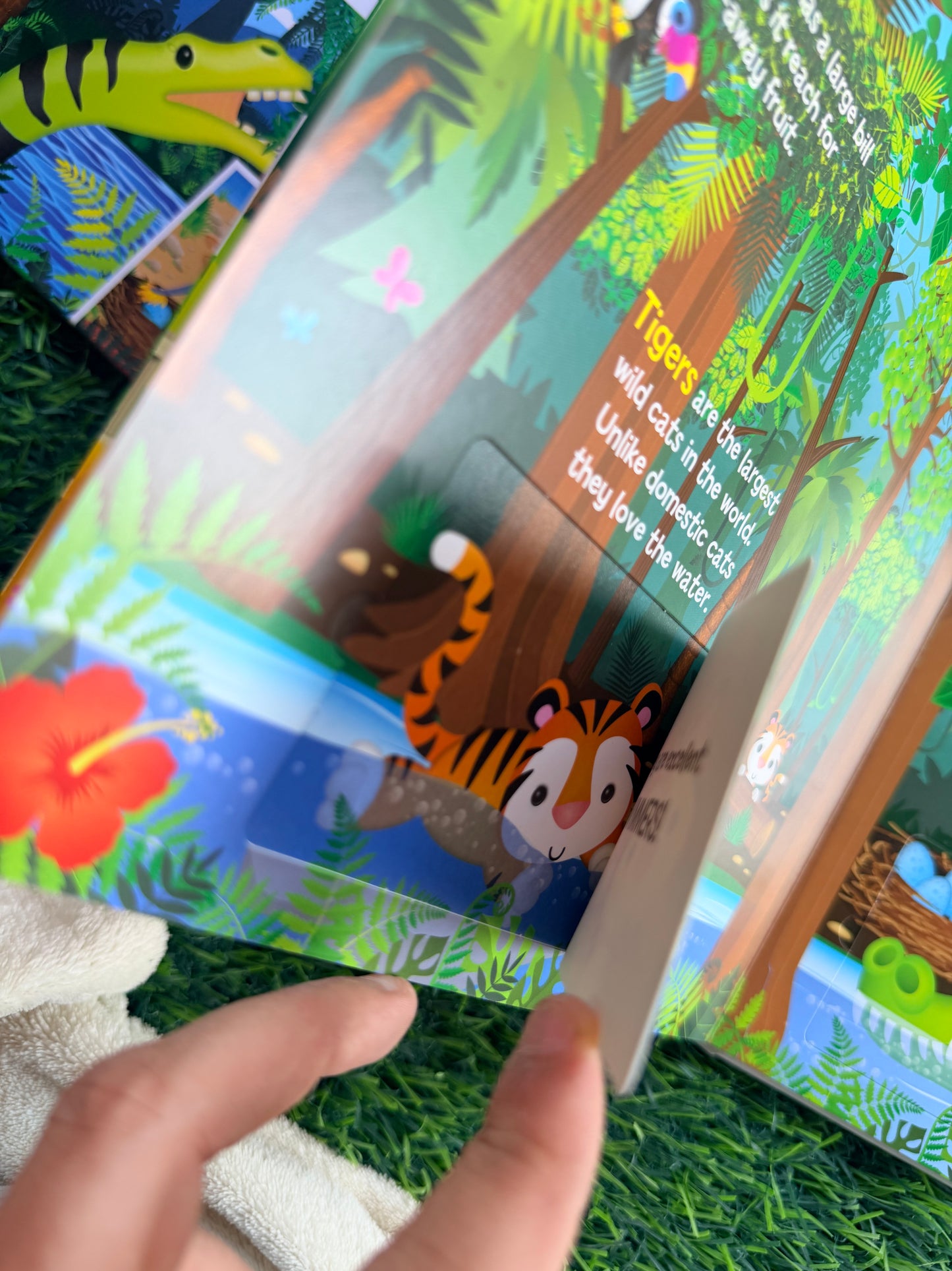 Learn About Animals - Lift the Flap Activity Kids Books - Childrens Books, Toddler Books