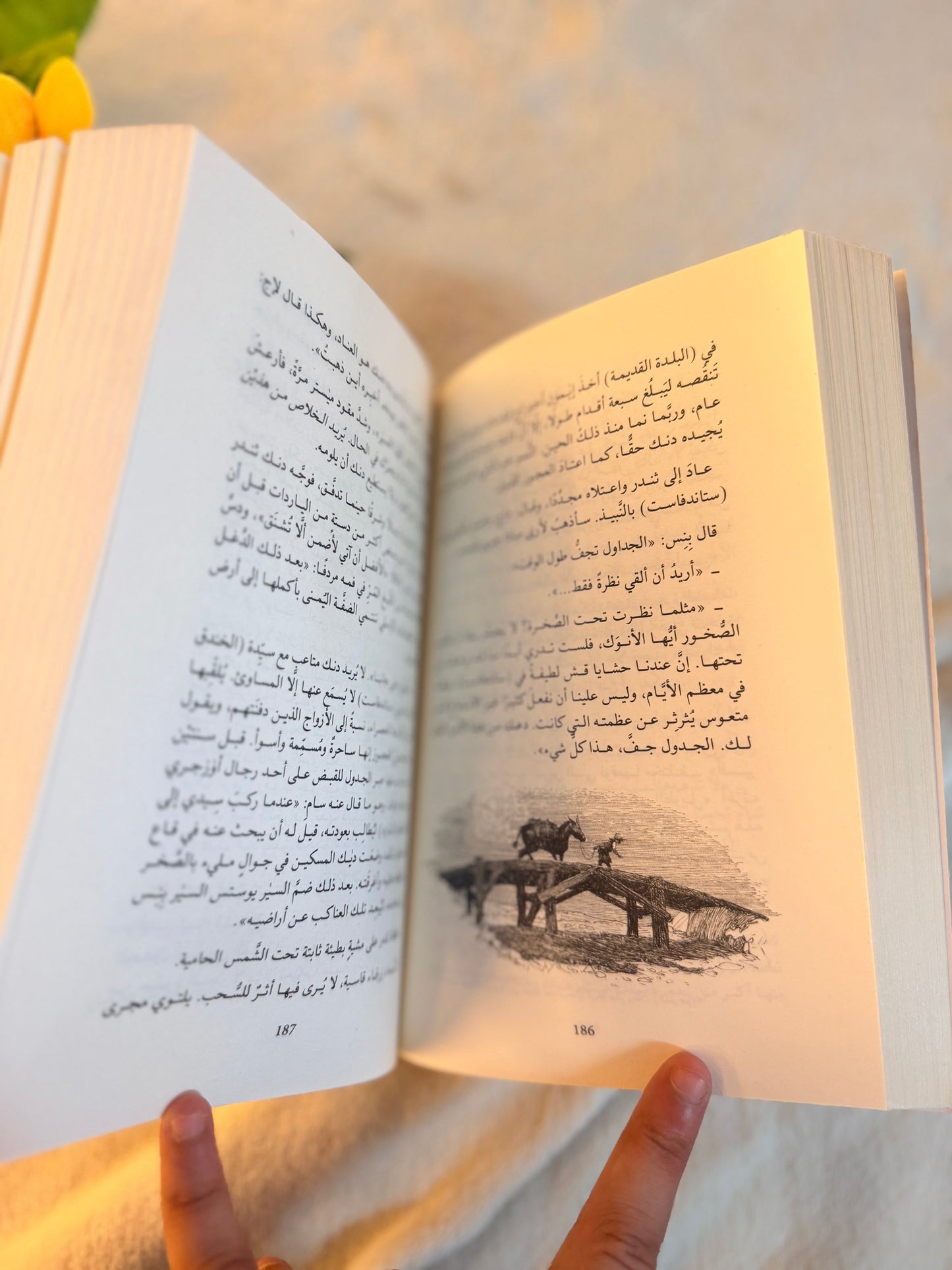 فارس الممالك السبعة | قصة جانبية قبل احداث صراع العروش