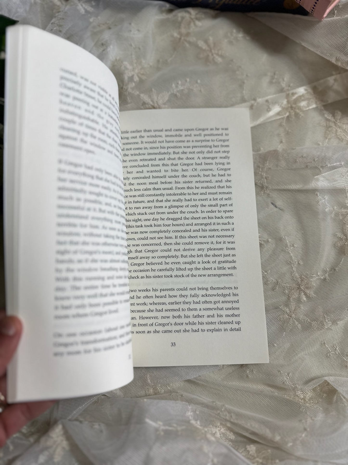 The Metamorphosis | Franz Kafka
