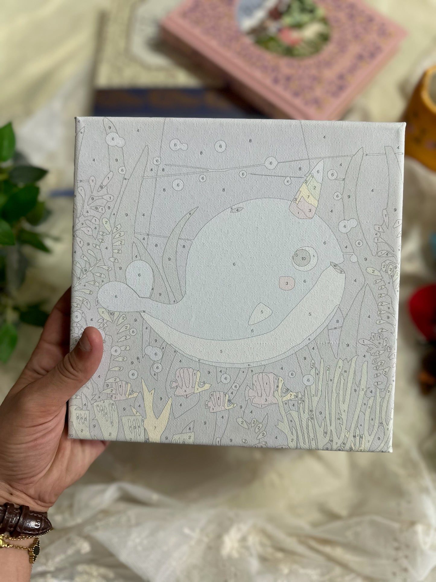 Paint by Numbers Canvas for Children with Frame ( 1 Frame without Colors )