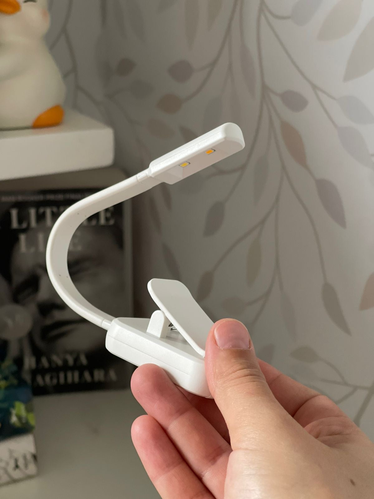Reading light for books