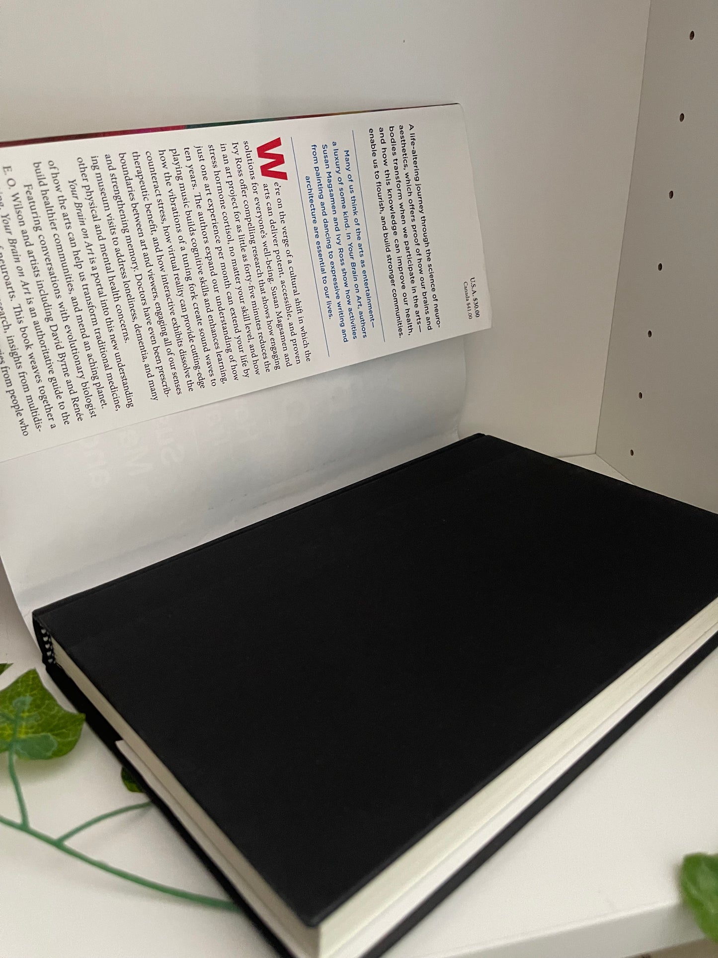 Your Brain on Art | Hardcover