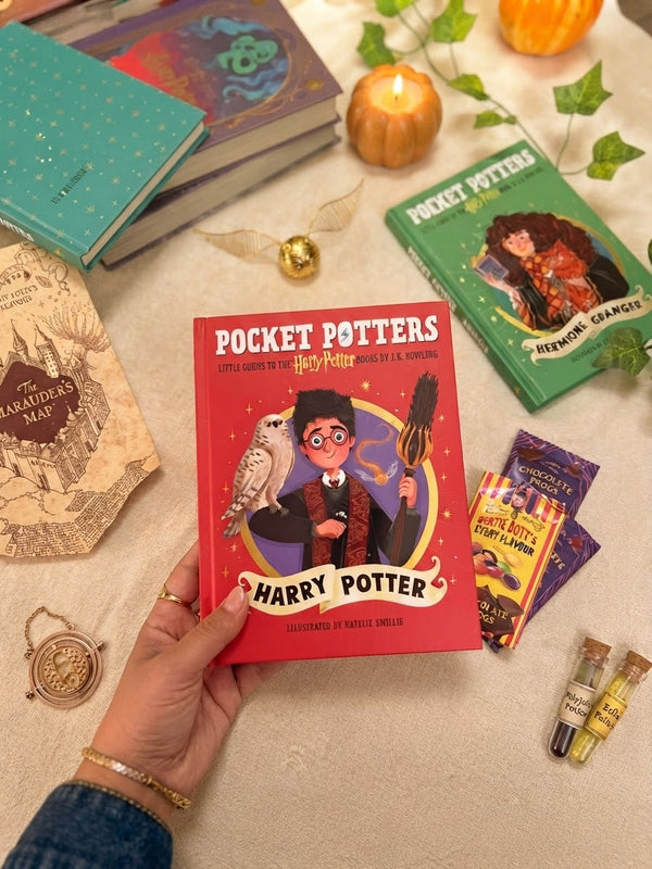 Pocket Potters: Harry Potter (Little Guides to the Harry Potter Books #1)