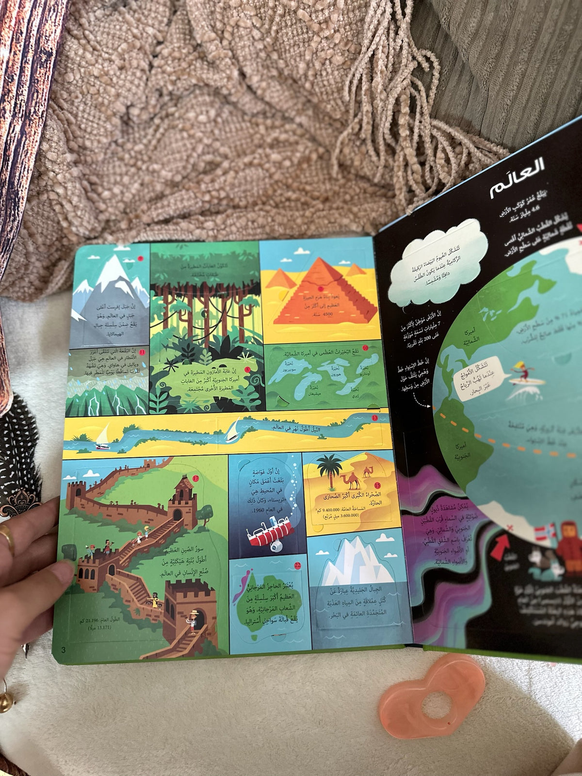 نافذة على معلومات عامة - كتاب تفاعلي اكتشف الطيّات