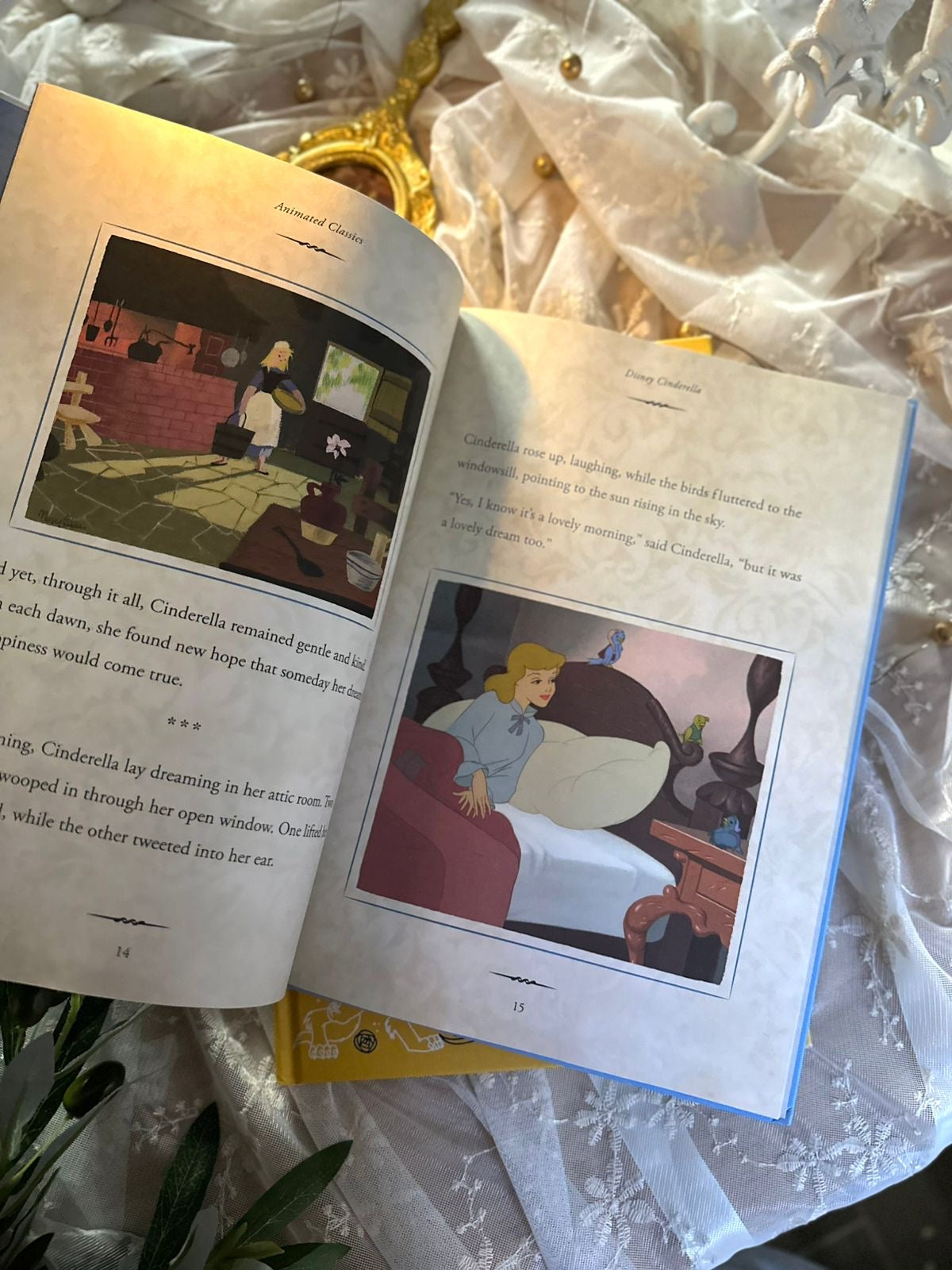 Dinsey The Beauty and The Beast Book, Illustrated Hardcover