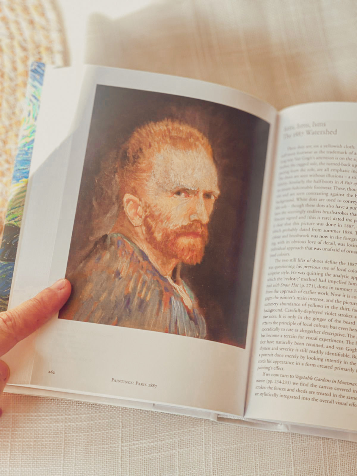 Vincent Van Gogh: The Complete Paintings