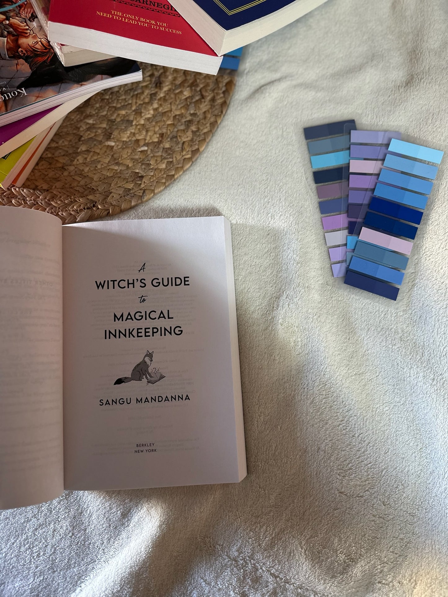 A Witch's Guide to Magical Innkeeping