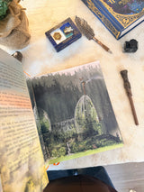 Harry Potter and the Chamber of Secrets: The Illustrated Edition (Harry Potter, Book 2)