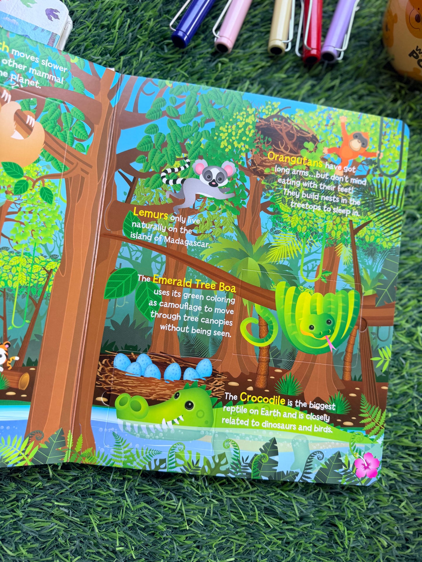 Learn About Animals - Lift the Flap Activity Kids Books - Childrens Books, Toddler Books