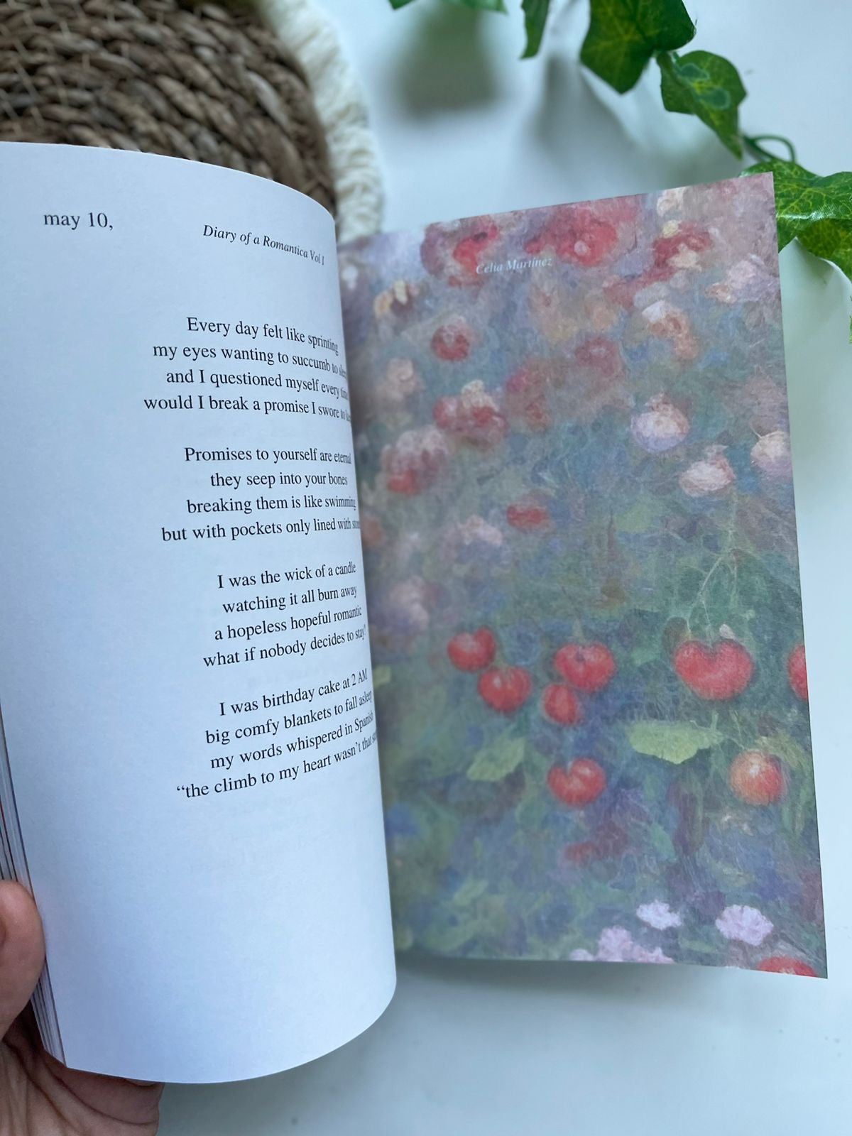 Diary of Romantica
