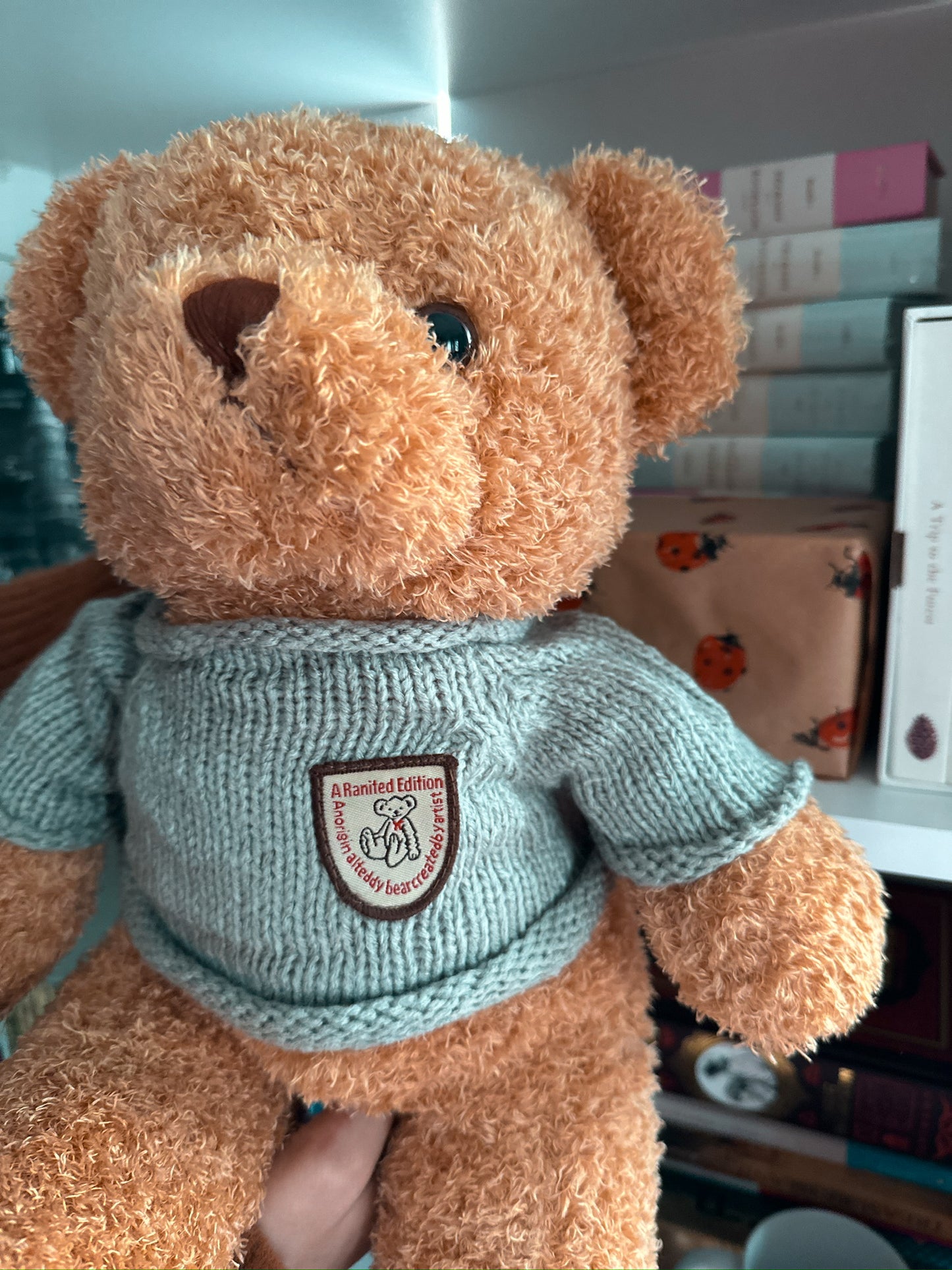 Teddy Bear Plush Toy with Tshirt size medium