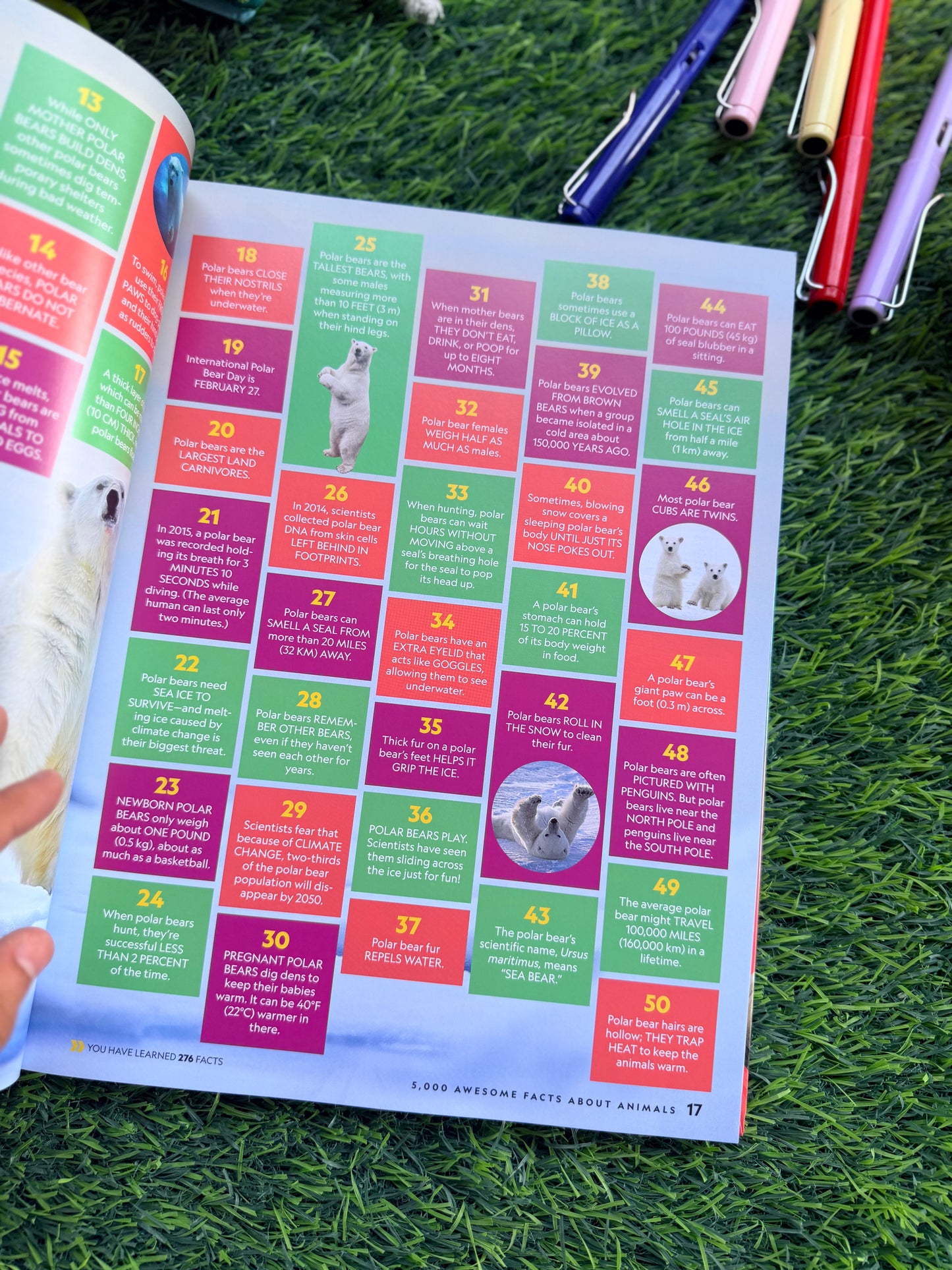 5,000 Awesome Facts About Animals | National Geographic Kids