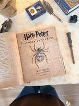 Harry Potter and the Chamber of Secrets: The Illustrated Edition (Harry Potter, Book 2)