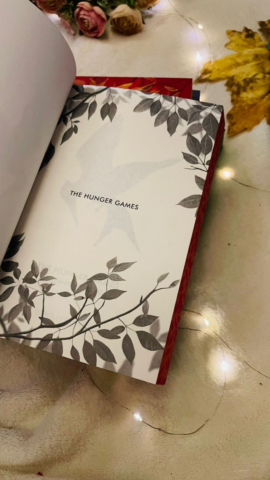 The Hunger Games (Deluxe Edition) Series 4-Book Collection Set