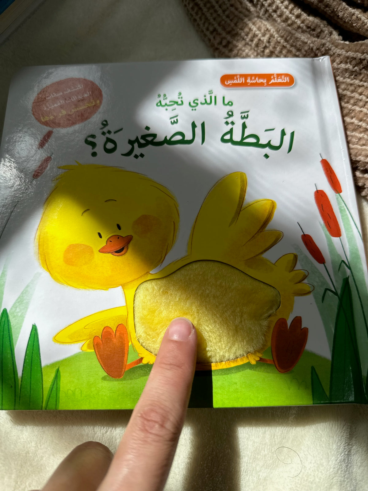 ما الذي تحبه البطة الصغيرة ؛ التعلم بحاسة اللمس