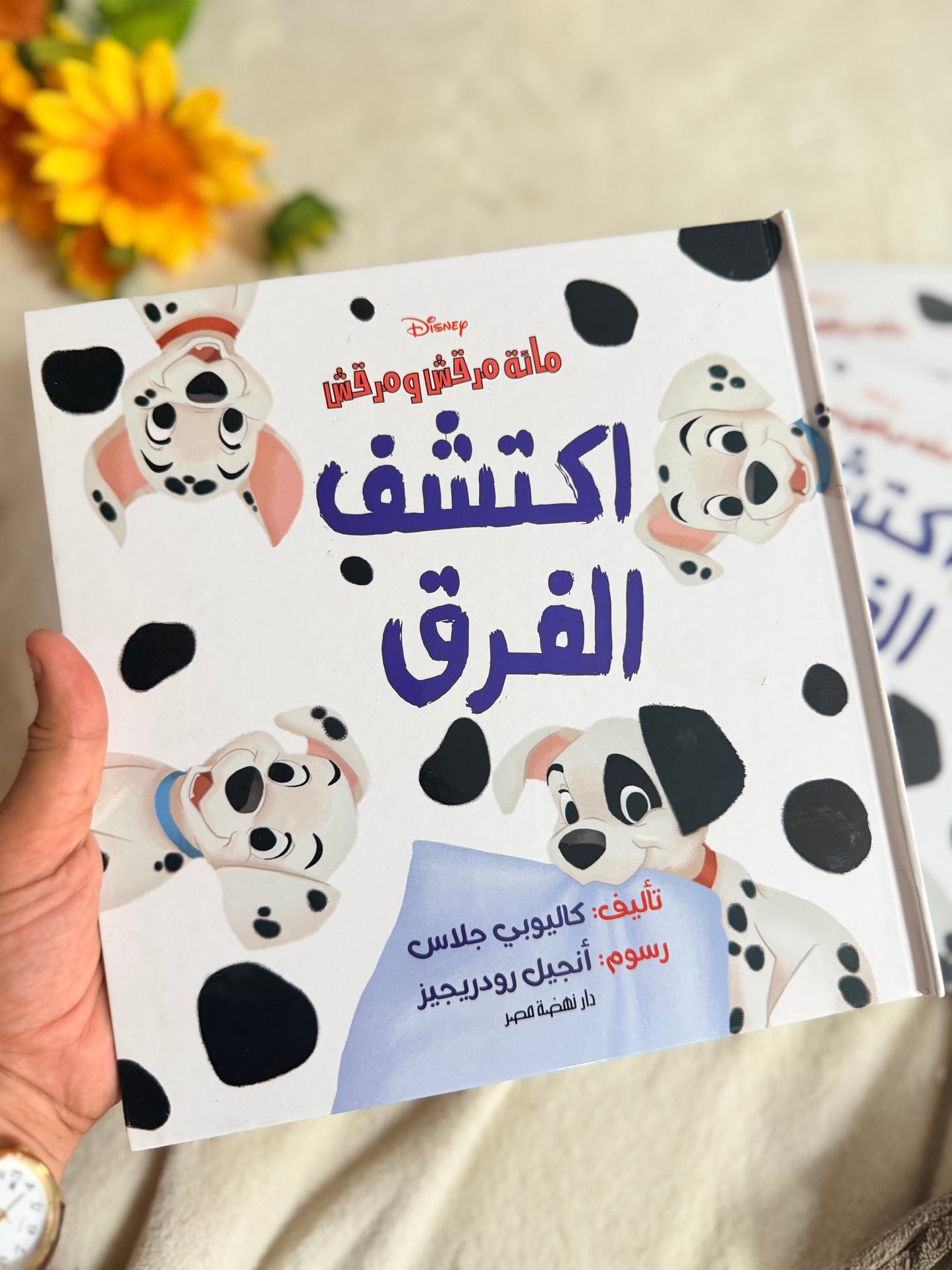 ديزني مائة مرقش ومرقش - اكتشف الفرق