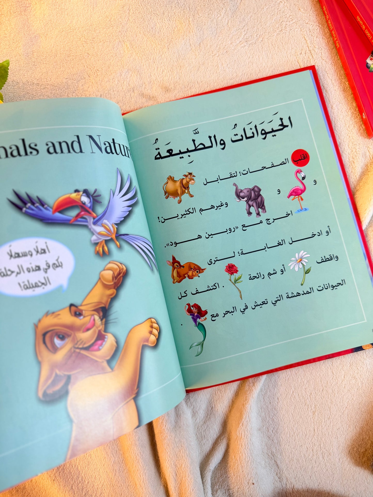 ديزني اول 1000 كلمة في حياتي | The First 1000 words