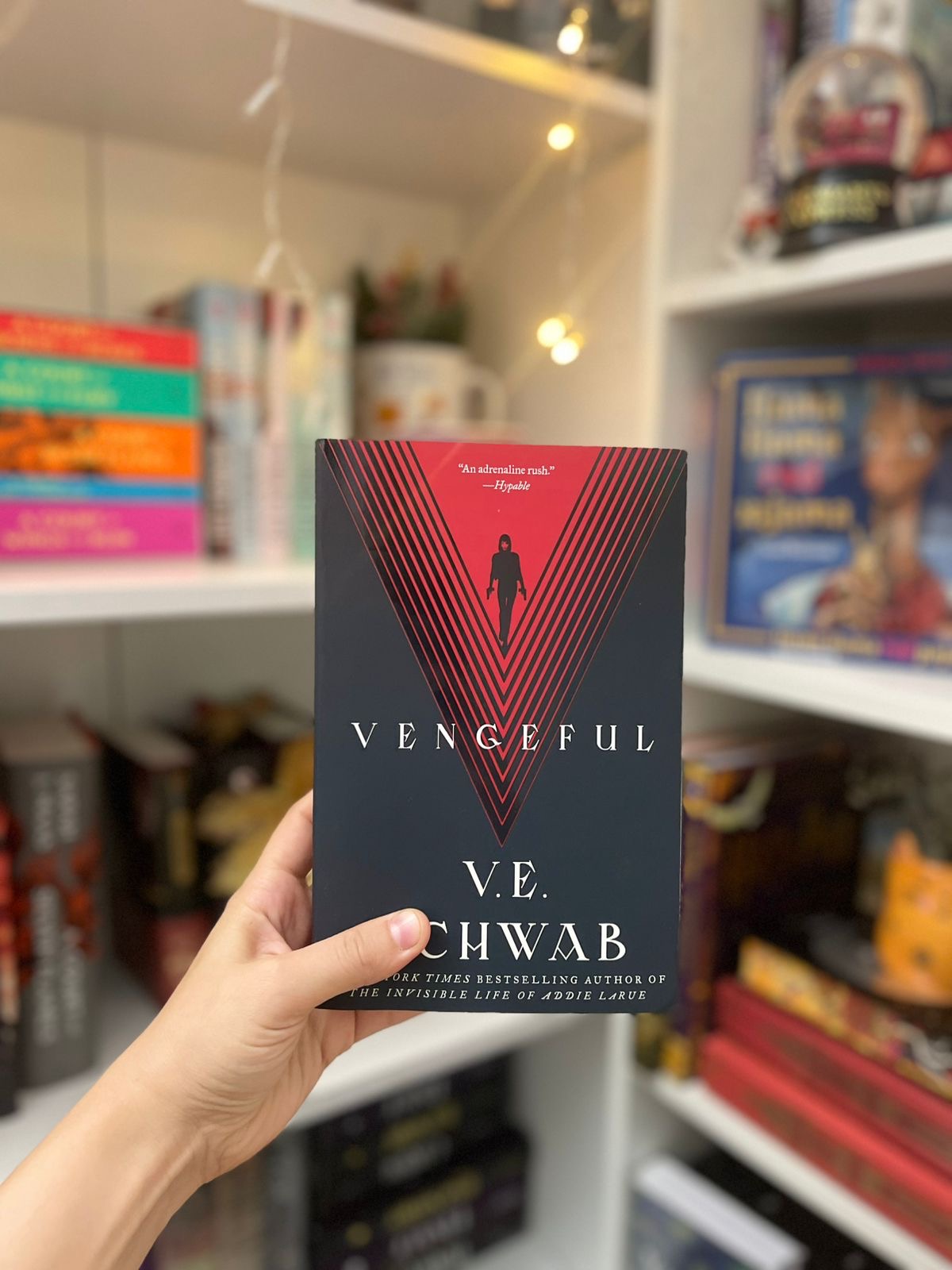 Villains Duology Boxed Set: Vicious, Vengeful