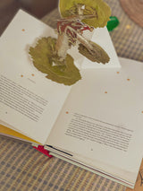 Little Prince Pop Up Book