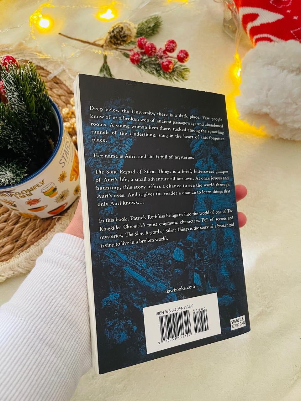 The Slow Regard of Silent Things (Kingkiller Chronicle)