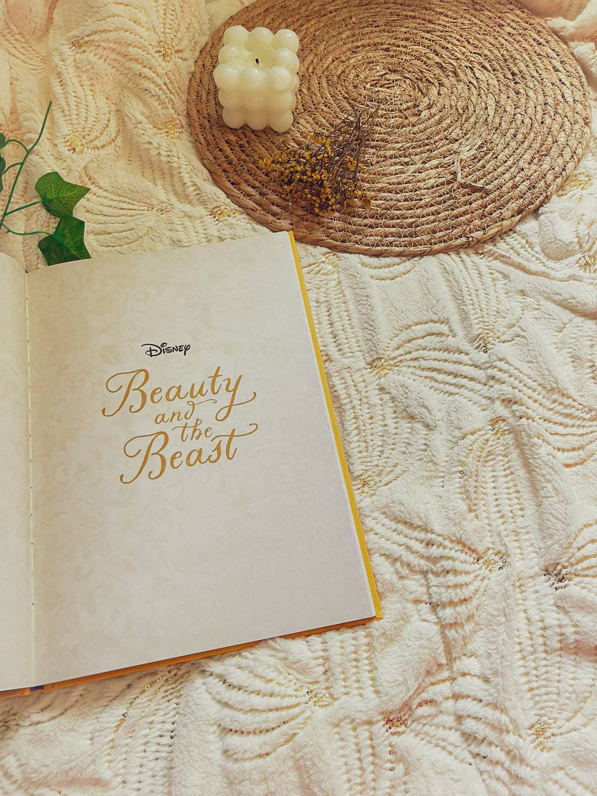 Beauty and the Beast (Hardcover)