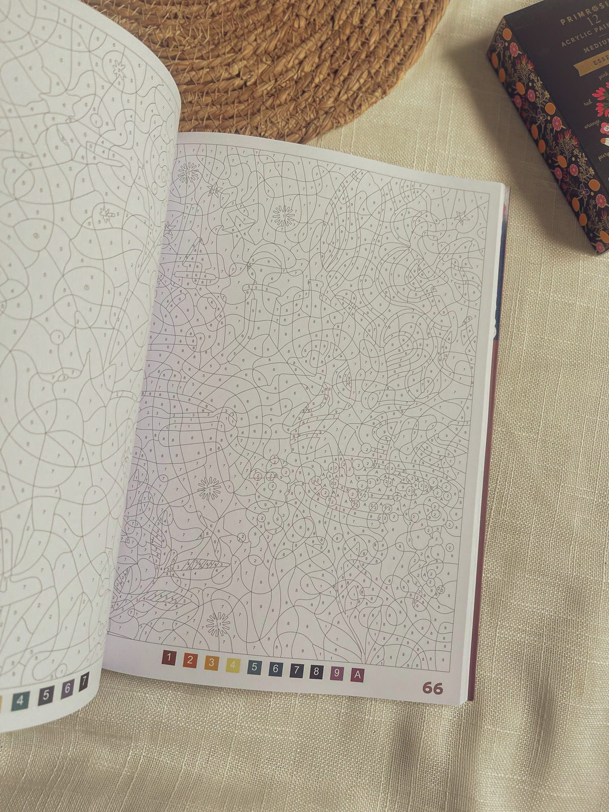 Sorcières | Mystery Coloring Book