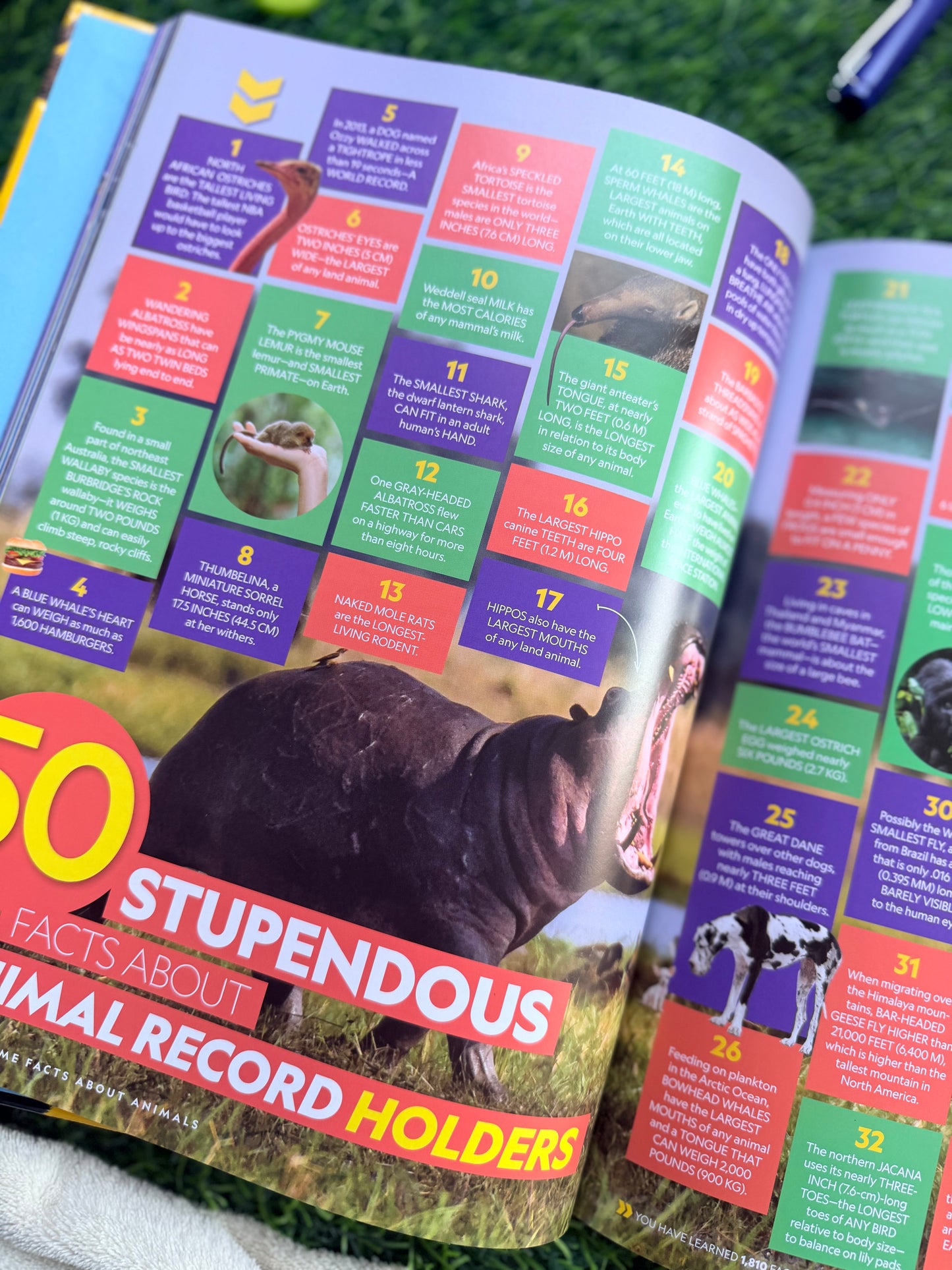 5,000 Awesome Facts About Animals | National Geographic Kids