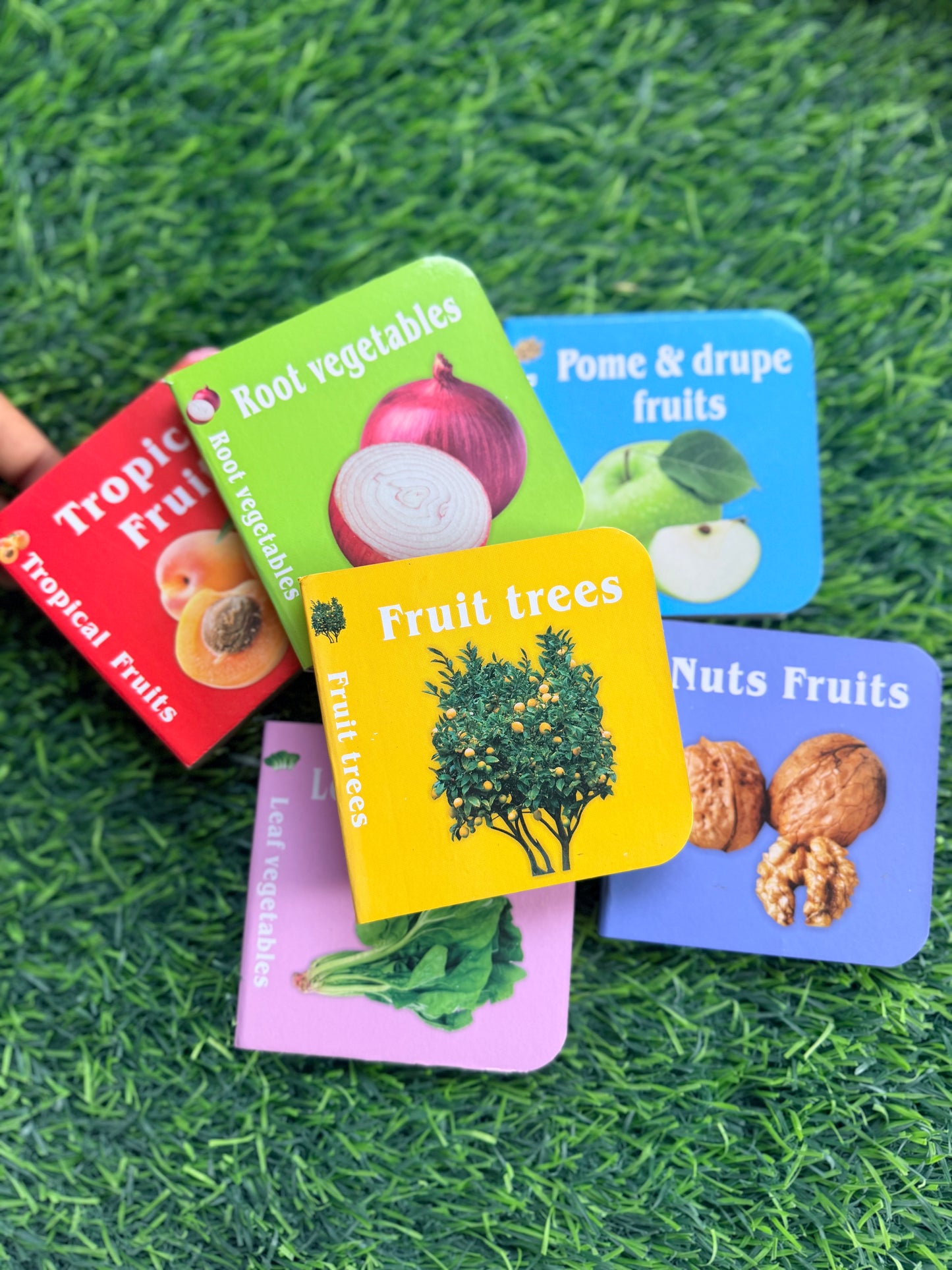 My learning Food Library , 6 Books set