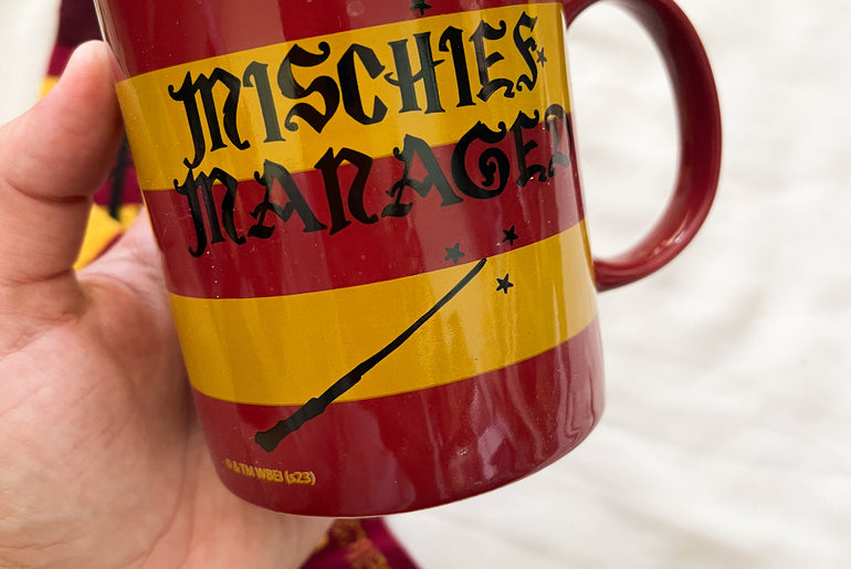 Harry Potter-Mug gift set