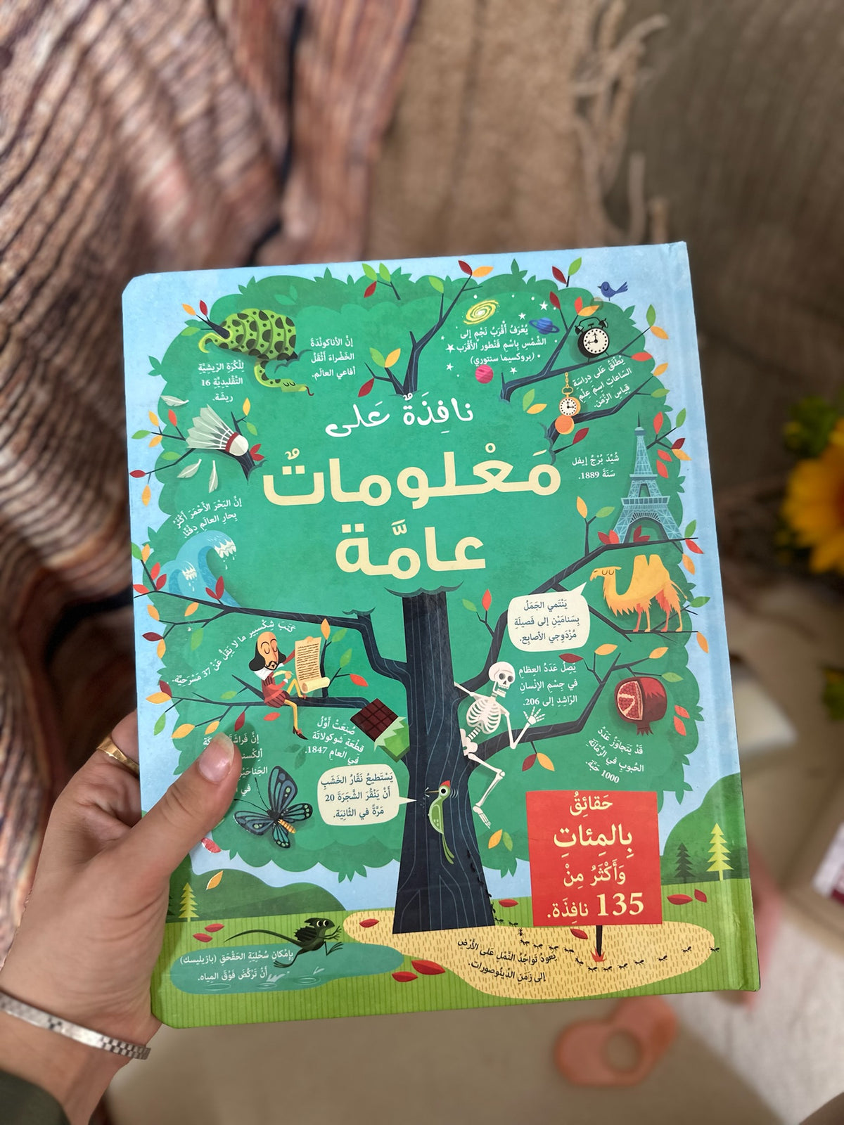 نافذة على معلومات عامة - كتاب تفاعلي اكتشف الطيّات