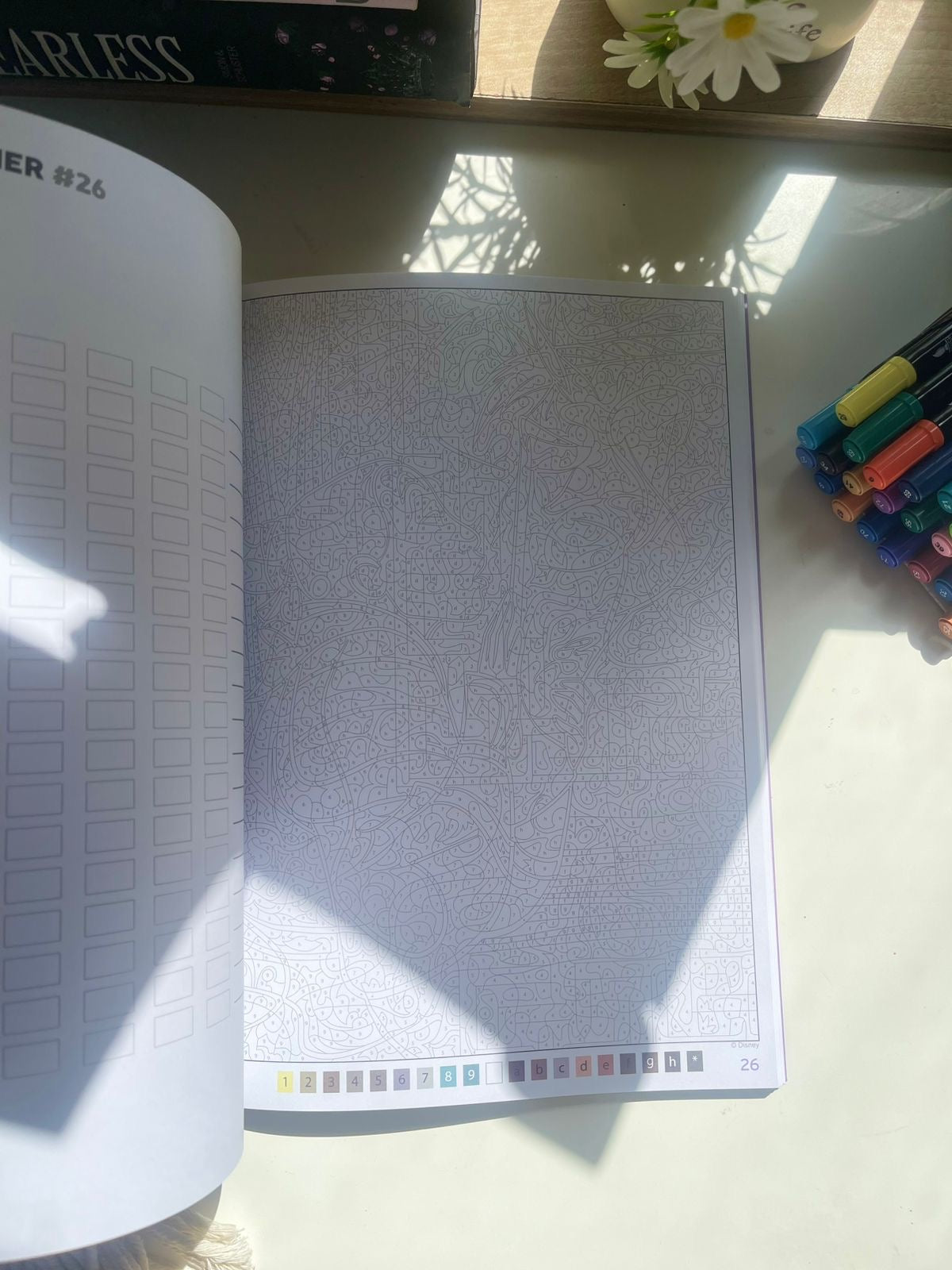 Mystery Coloring book - special film