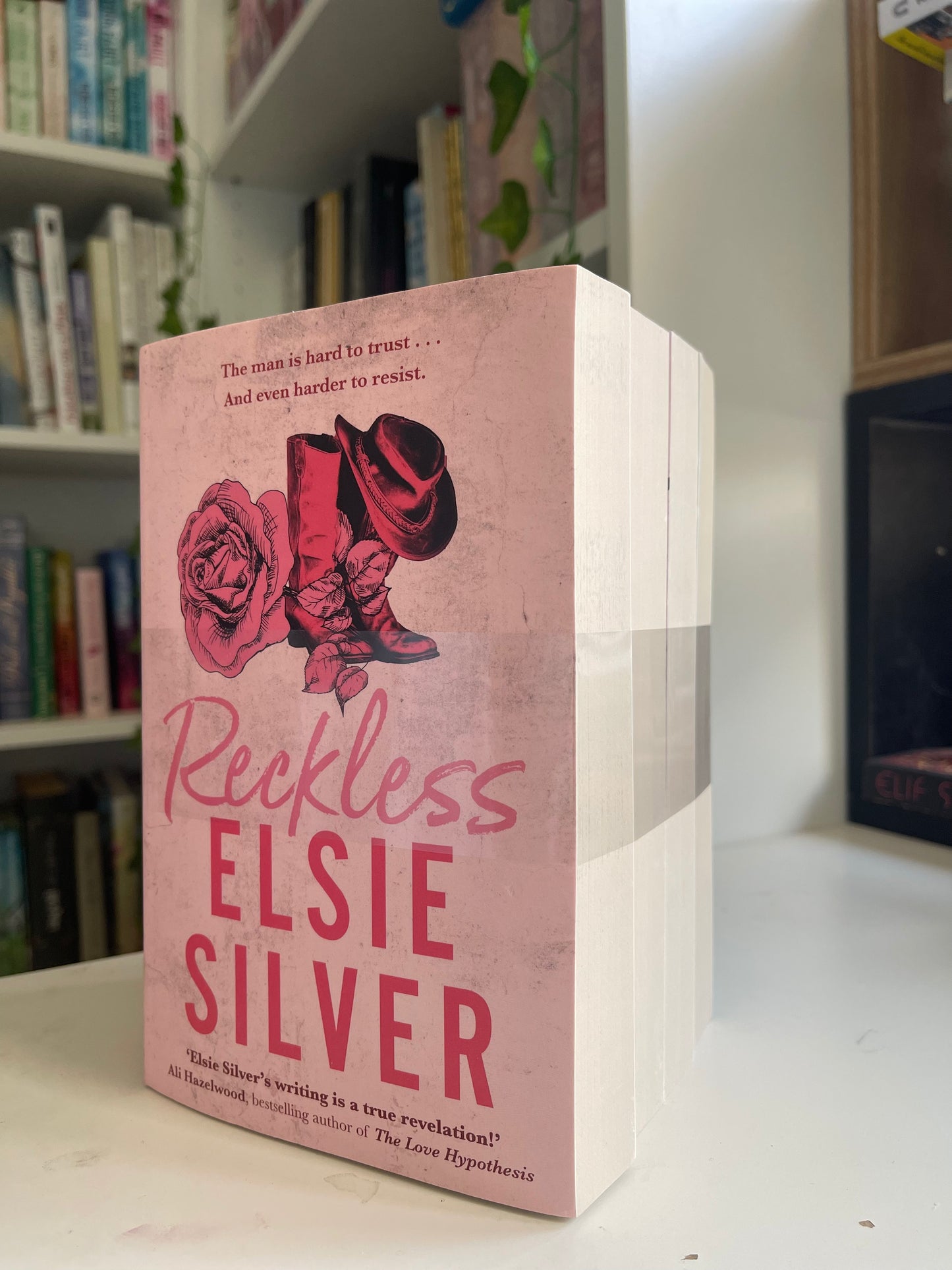 Chestnut Springs bookset -Elsie Silver