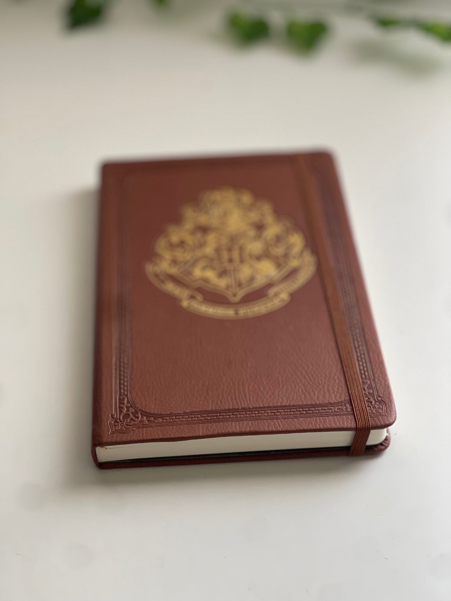 Harry potter journal