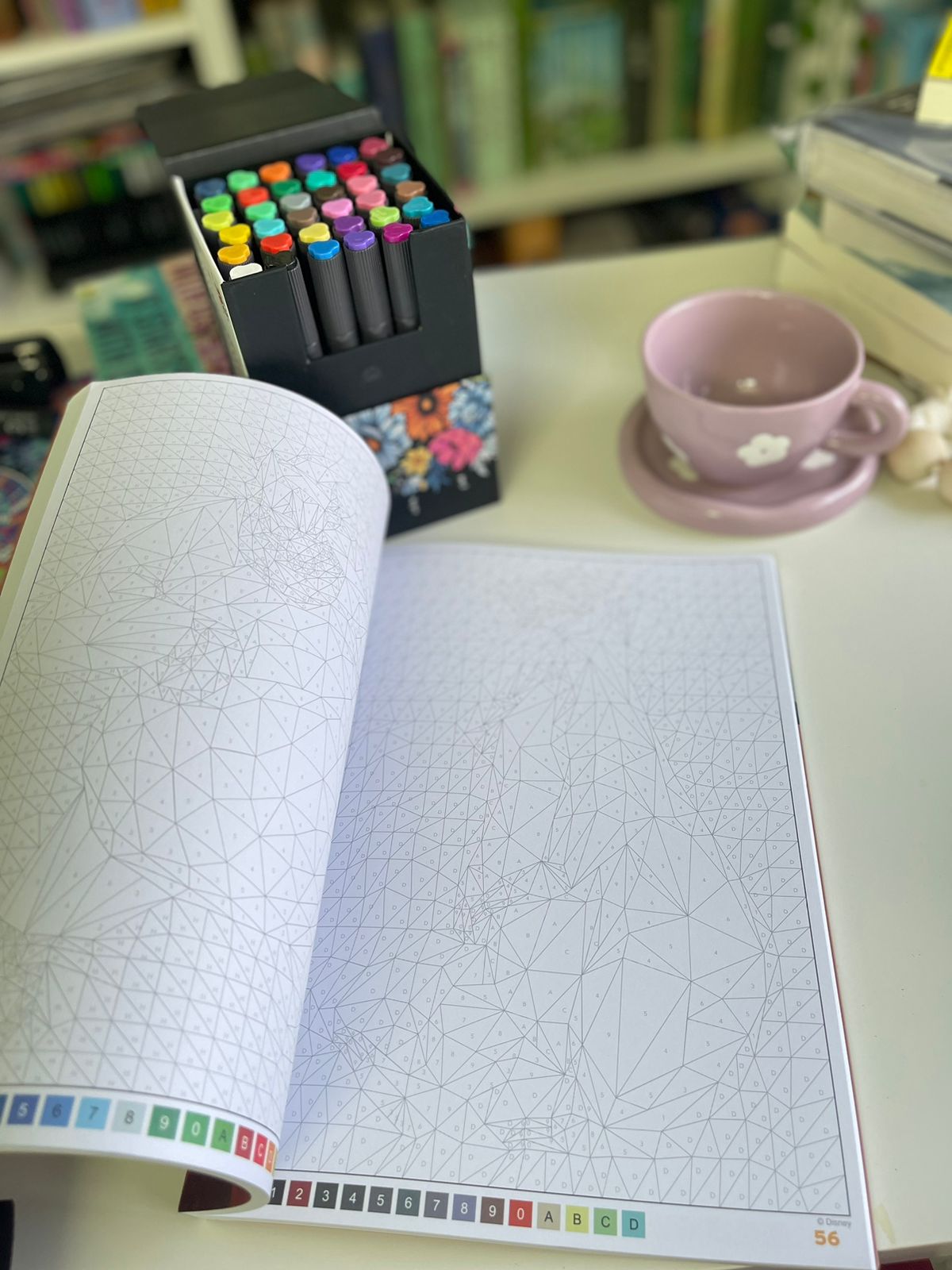 Disney | Triangles mystery coloring book