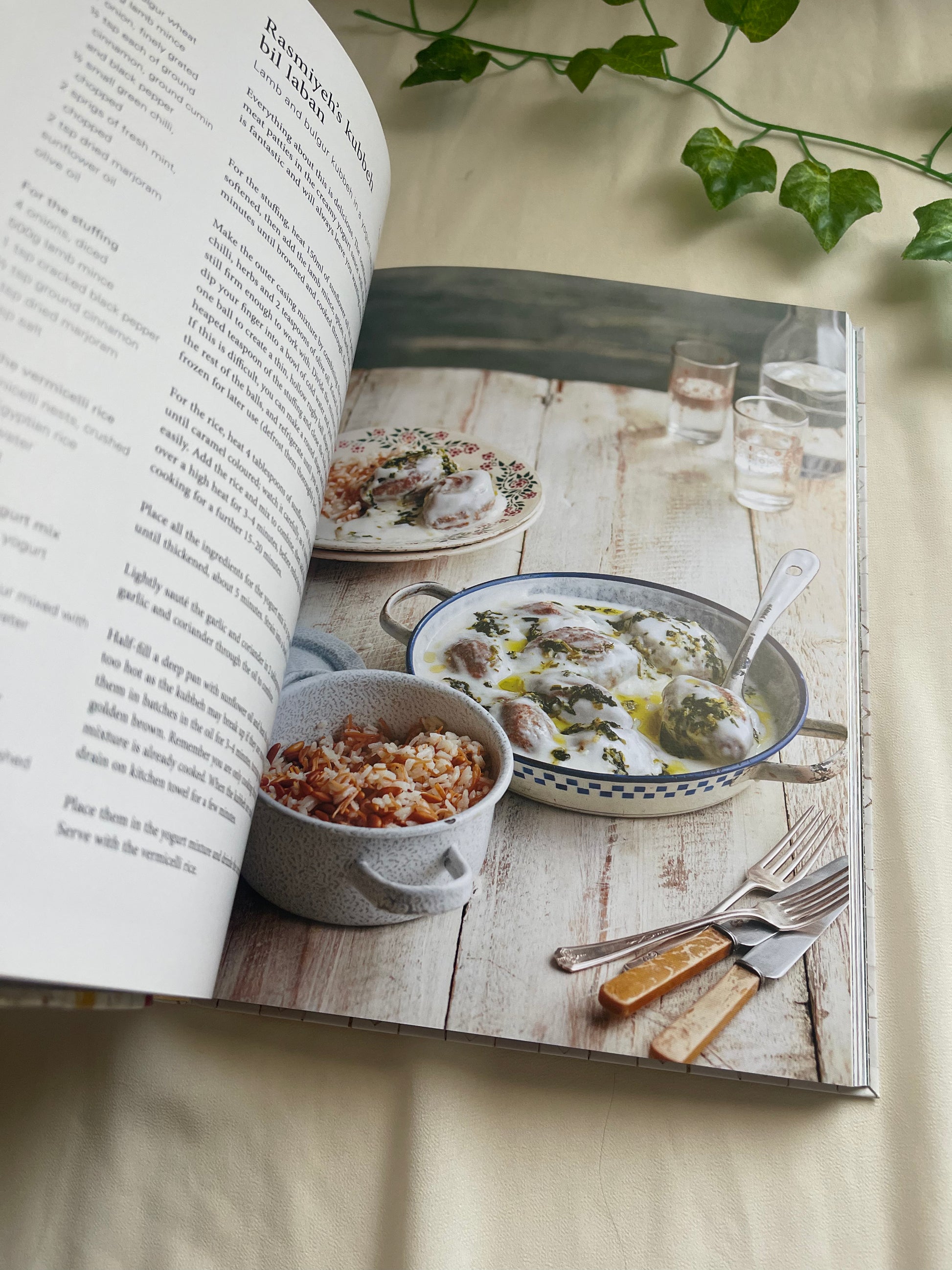 Baladi Palestine Cookbook